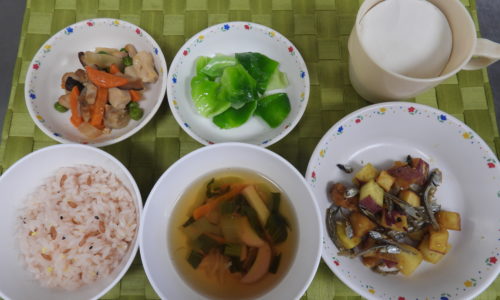 福岡市中央区の保育園、新星保育園のイメージ02