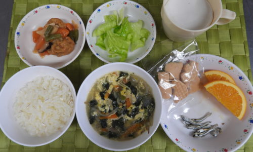 福岡市中央区の保育園、新星保育園のイメージ09