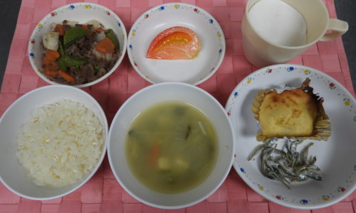 福岡市中央区の保育園、新星保育園のイメージ12